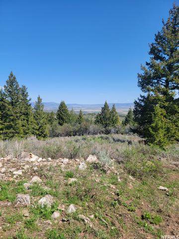 00 BARE GROUND