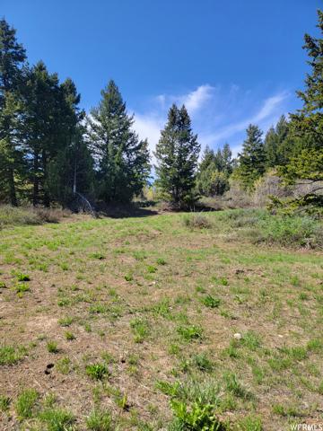 00 BARE GROUND