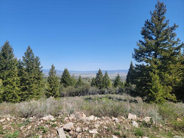 00 BARE GROUND