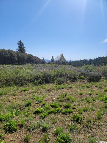 00 BARE GROUND
