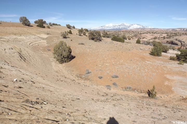 LOOKING GLASS RD