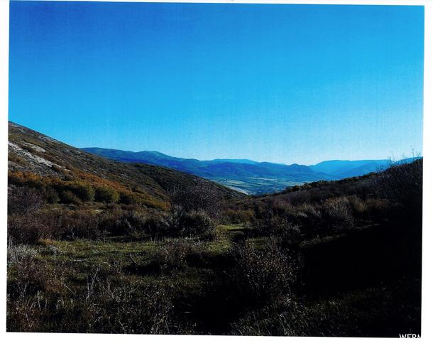 TOP OF BROWNS CYN
