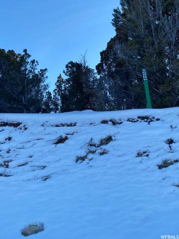 , Indianola, Sanpete County, Utah 84629, USA