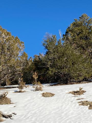 , Indianola, Sanpete County, Utah 84629, USA