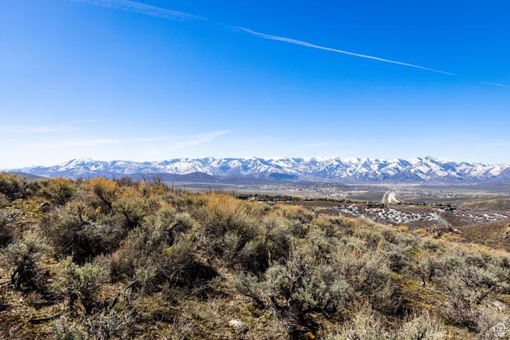 4220 PINNACLE SKY LOOP