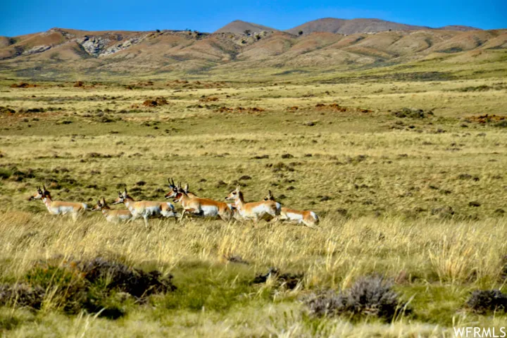 475 County Rd 324, Sinclair, Wyoming 82334