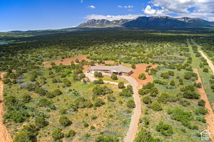 View of bird's eye view
