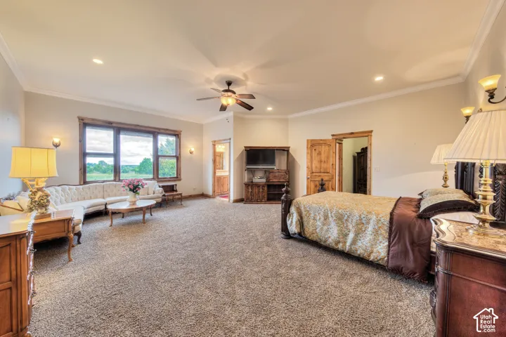 422 S Creek Rd, Monticello, Utah 84535