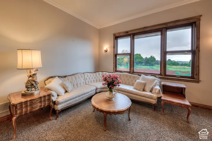 422 S Creek Rd, Monticello, Utah 84535