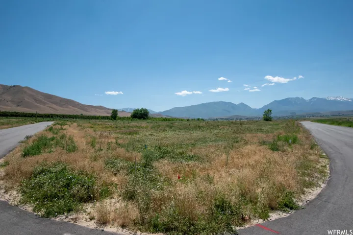2151 N York Ln, Genola, Utah 84655