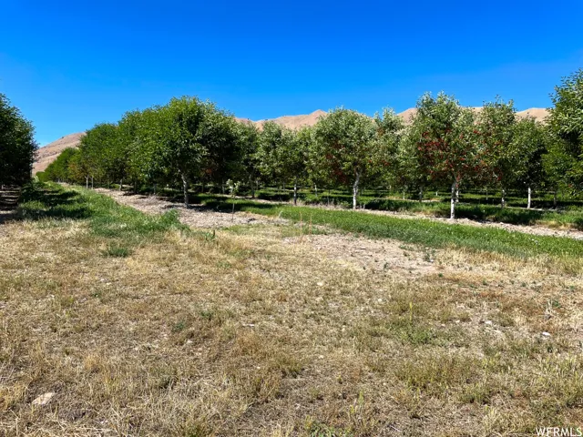 2151 N York Ln, Genola, Utah 84655