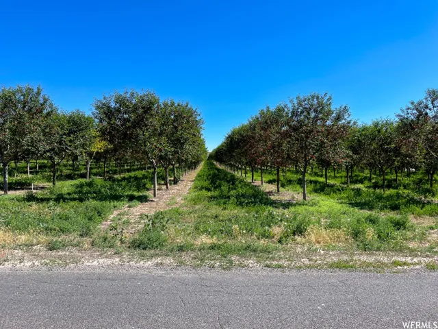 2151 N York Ln, Genola, Utah 84655