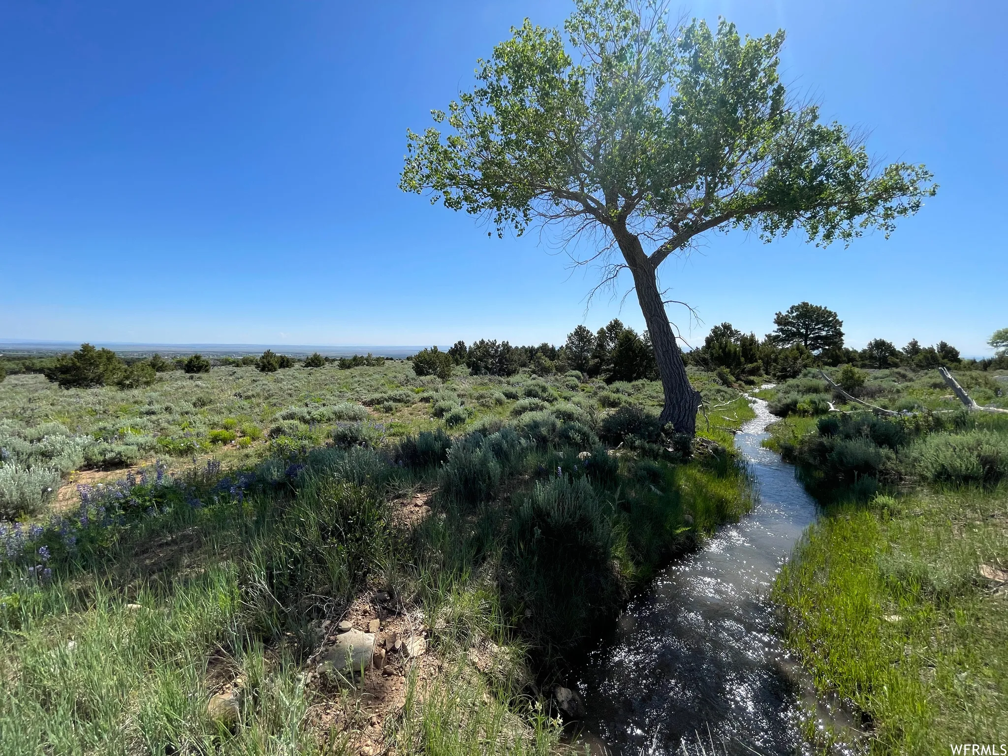 View of mother earth's splendor featuring a water view