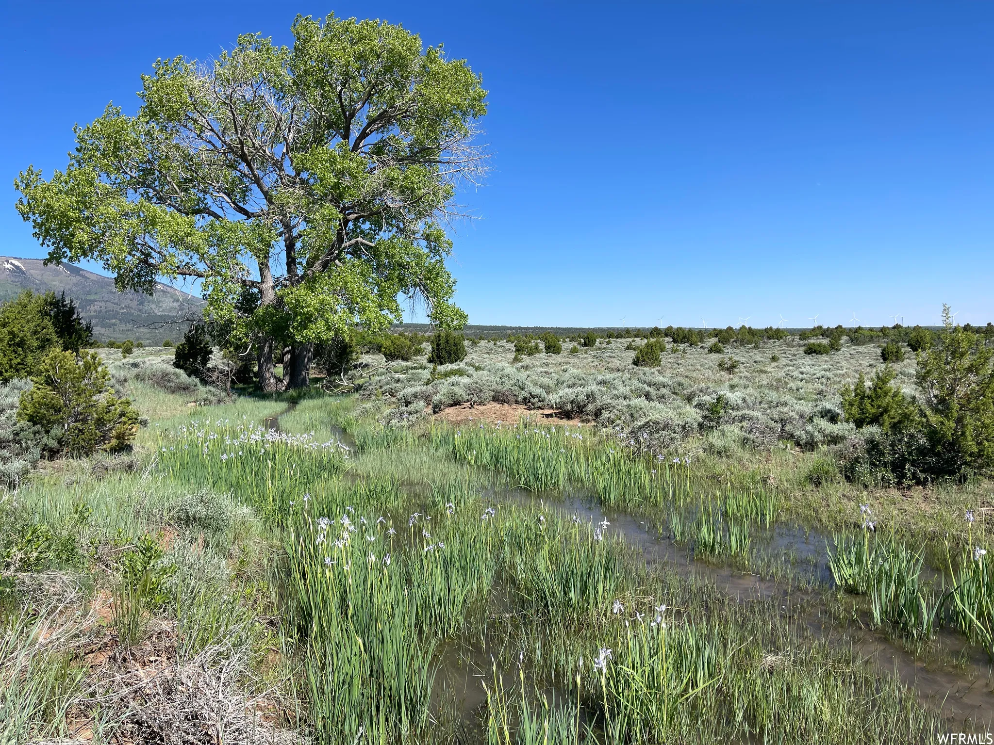 View of nature featuring a water view