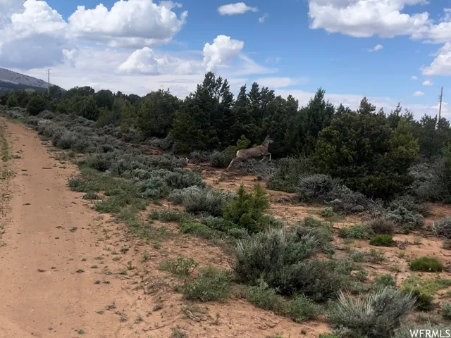 1599 S Hwy 191, Monticello, Utah 84535