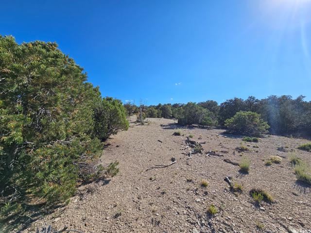 , Duchesne, Utah 84021, US