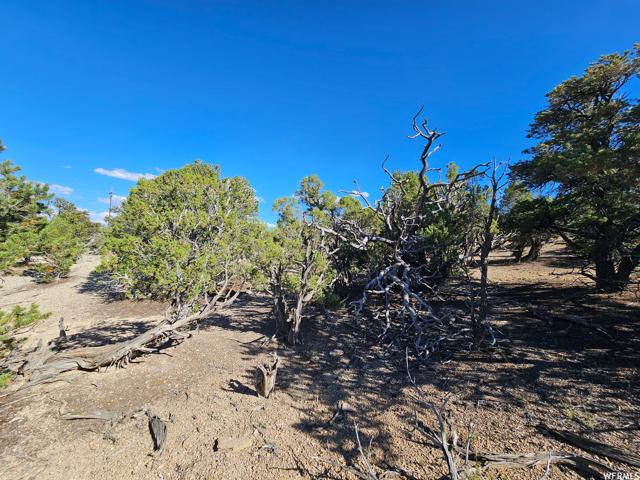 , Duchesne, Utah 84021, US