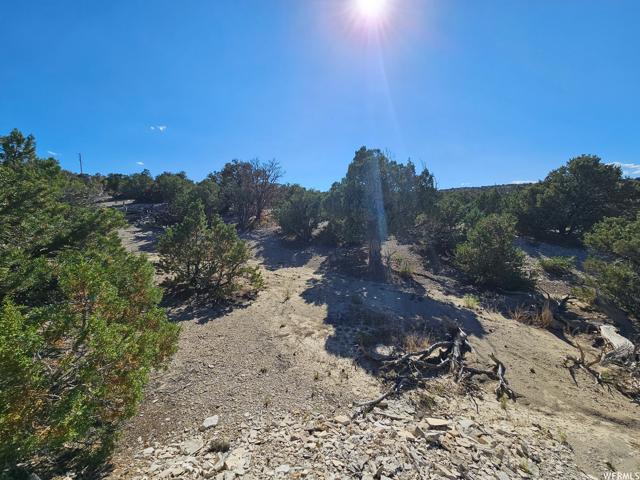 , Duchesne, Utah 84021, US