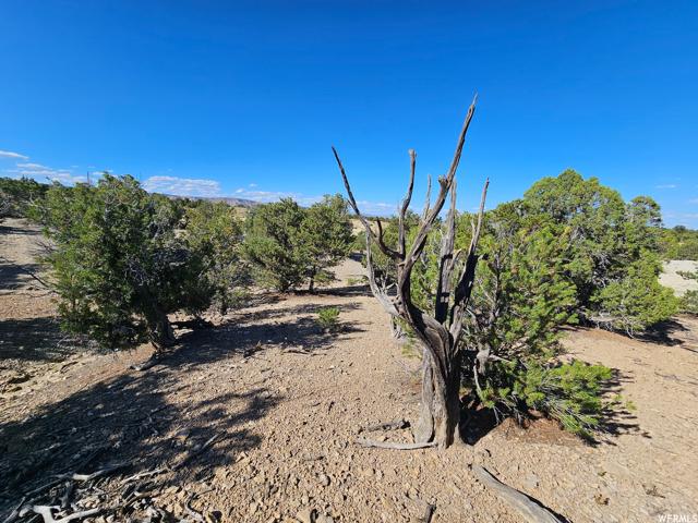, Duchesne, Utah 84021, US