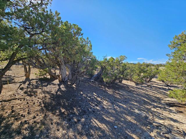 , Duchesne, Utah 84021, US