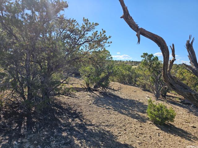 , Duchesne, Utah 84021, US