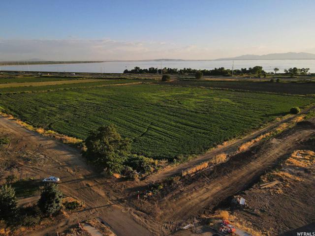 View of bird's eye view