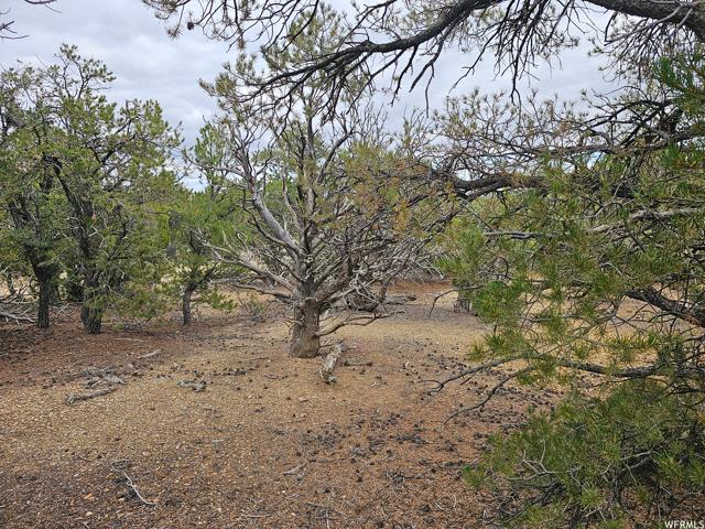 , Fruitland, Duchesne County, Utah 84027, USA