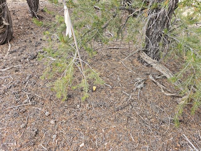 , Fruitland, Duchesne County, Utah 84027, USA