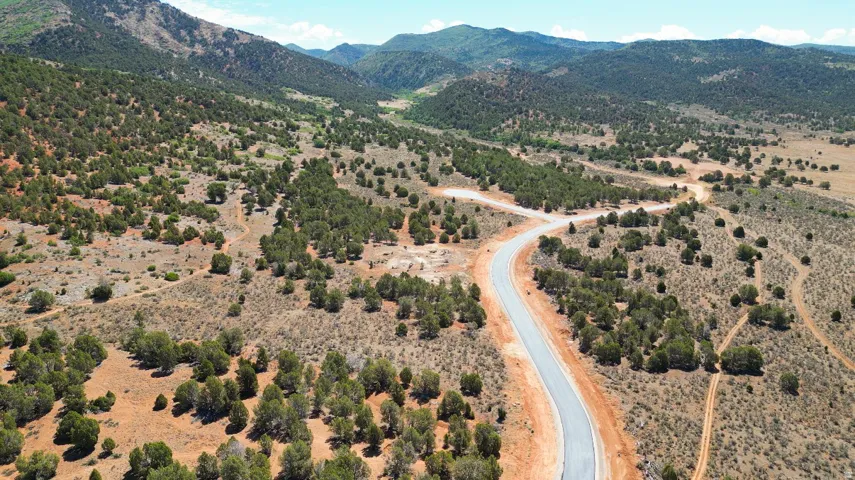 Paved road winding through a landscape of mature evergreen trees and arid vegetation