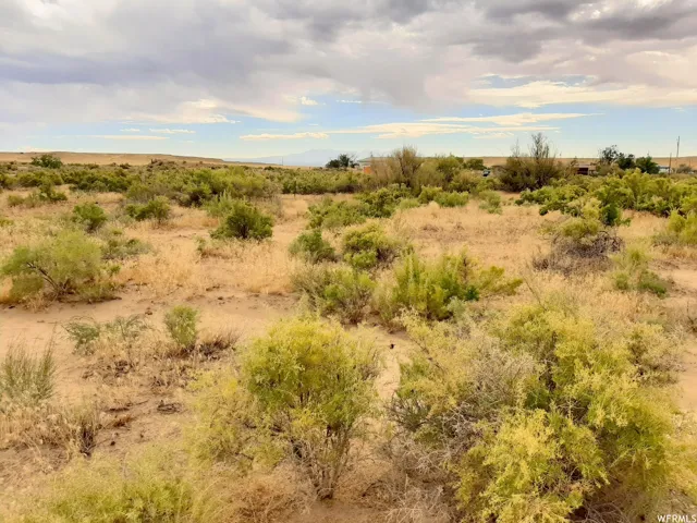 Flat and gradual hills, great for UTV driving.