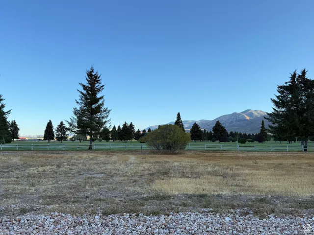 View of yard with a mountain view and a rural view