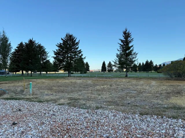 View of yard with a view of rural / pastoral area