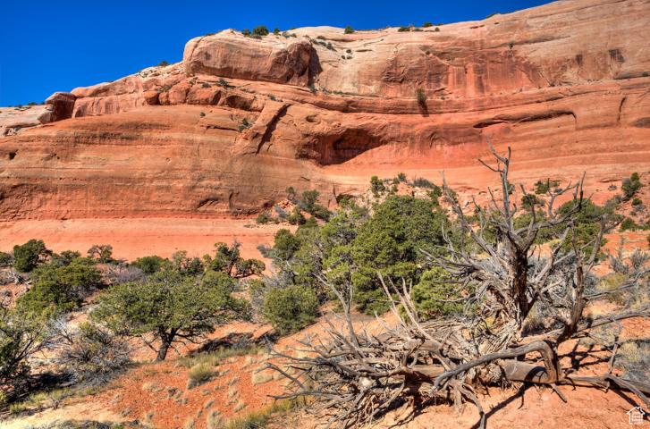 1 PHASE 2 JOE WILSON DR