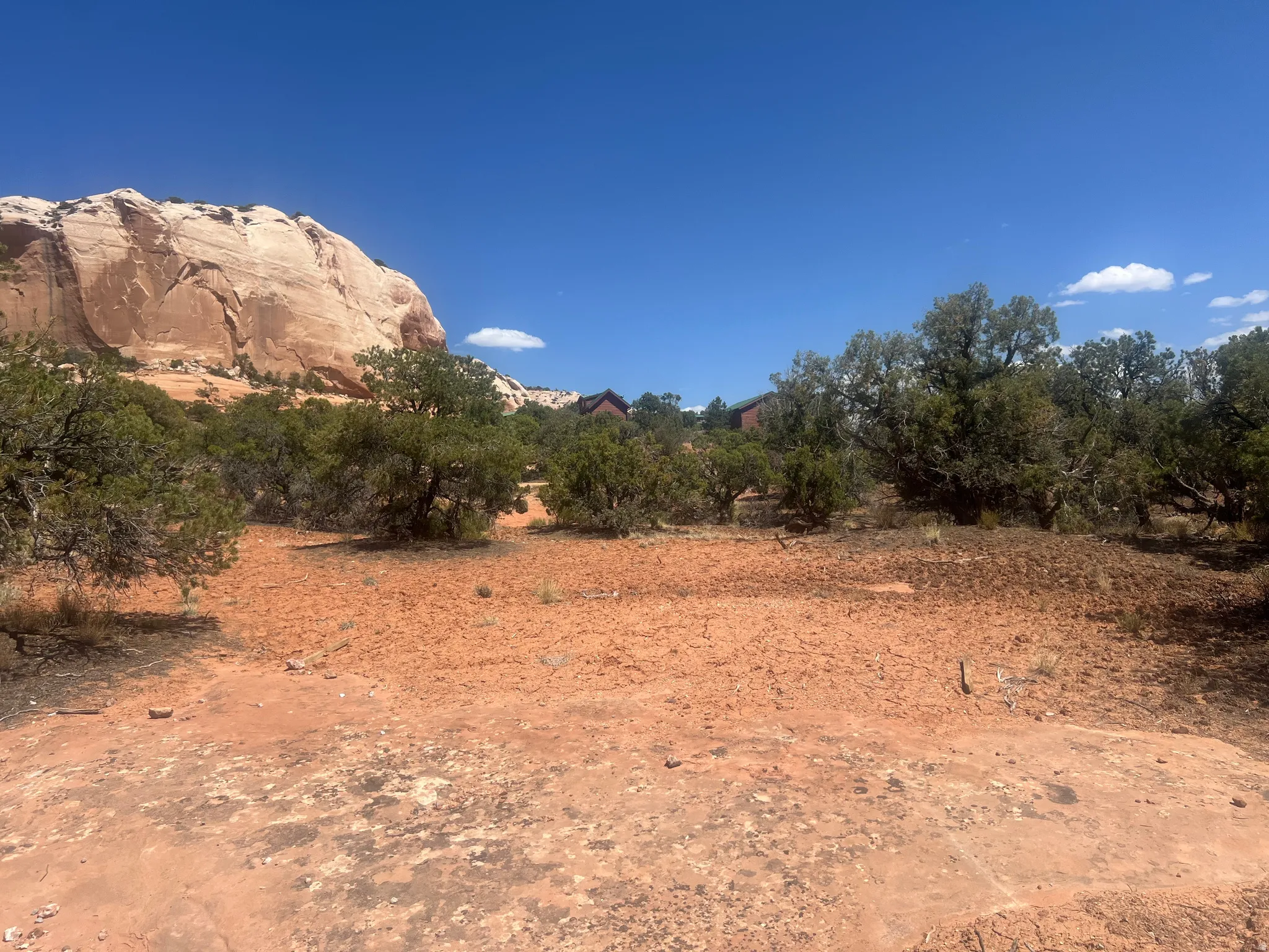 Expansive desert landscape featuring a large sandstone rock formation, native brush, and scattered trees