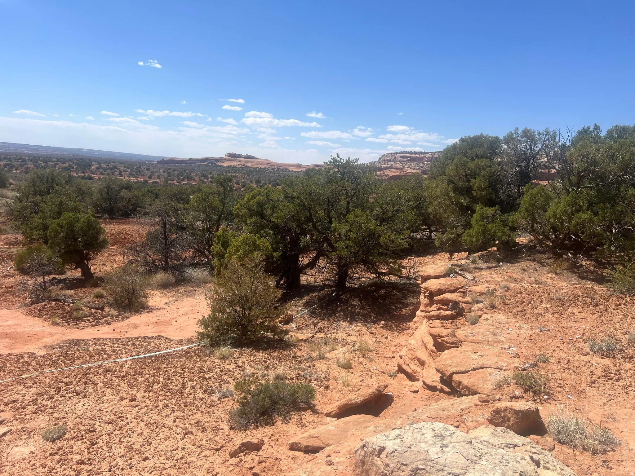 Expansive desert landscape featuring natural rock formations and scattered mature trees