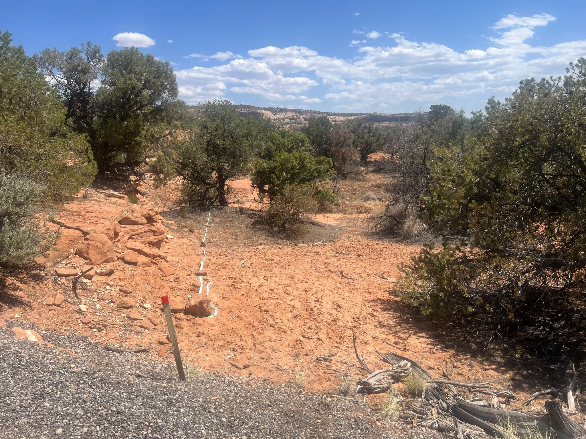 Expansive desert landscape featuring red rock formations and mature native trees under a blue sky with scattered clouds