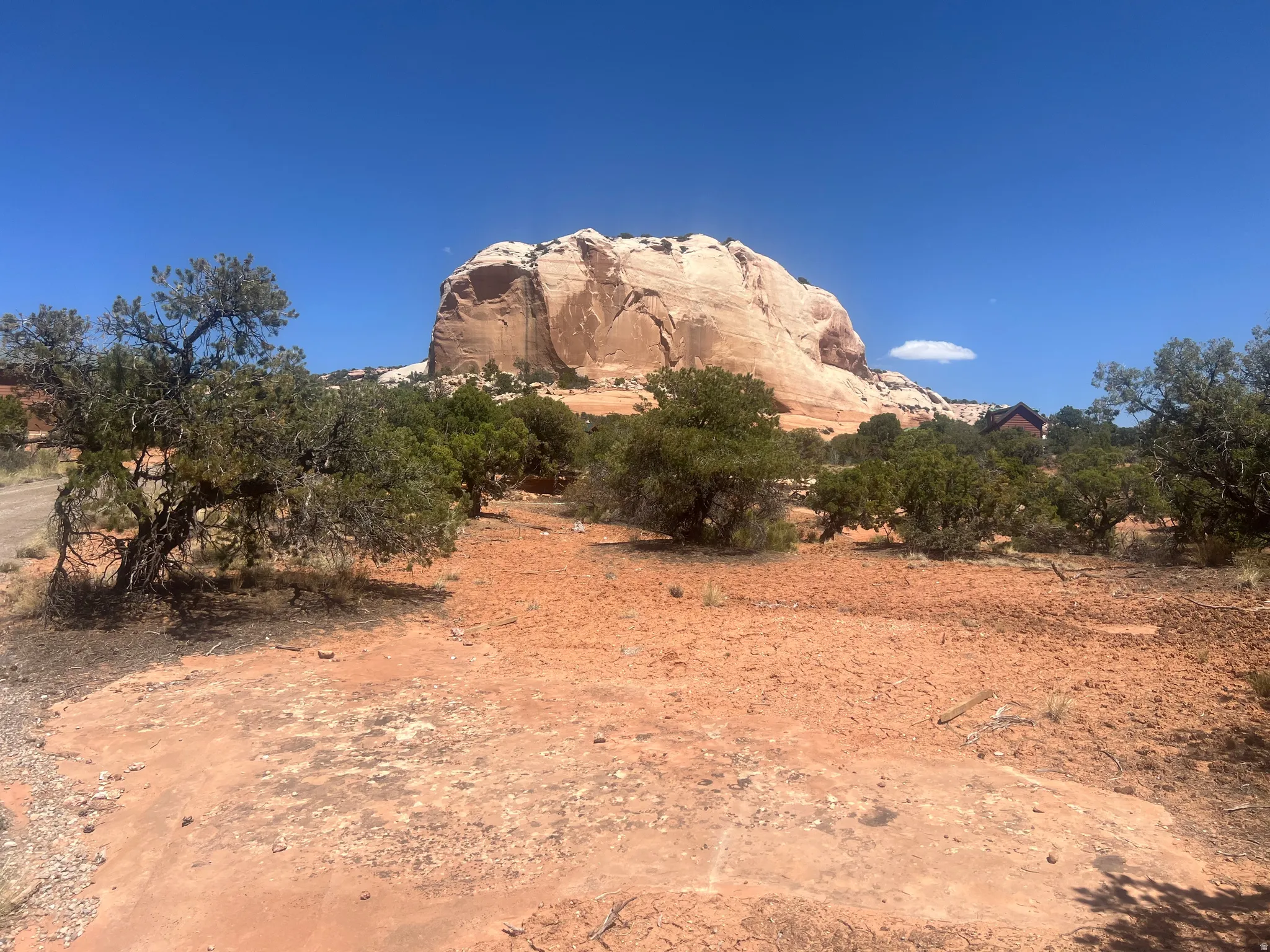 Expansive natural landscape with rock formations and scattered green foliage