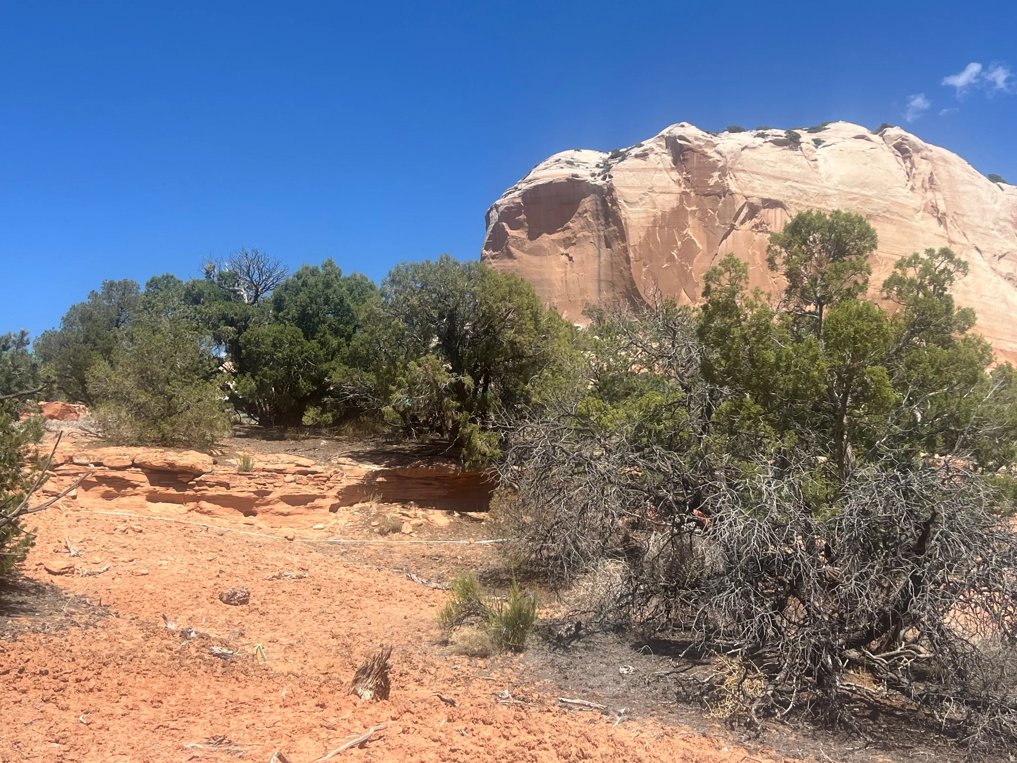 Expansive red rock landscape featuring natural shrubbery and a prominent sandstone bluff