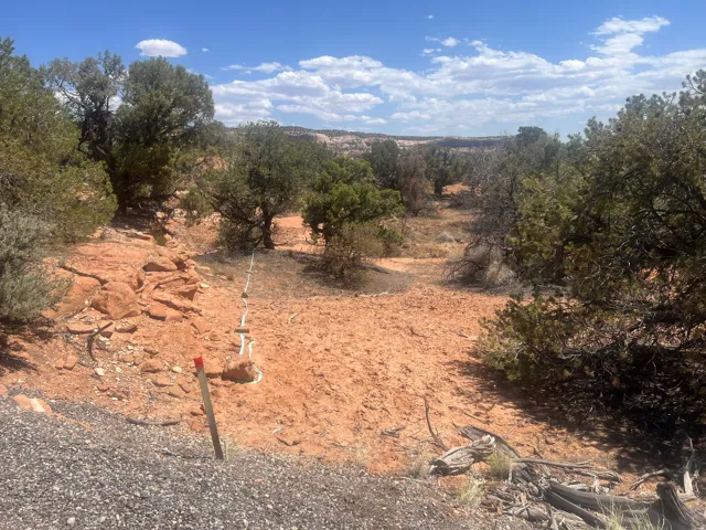 Expansive desert landscape featuring red rock formations and mature native trees under a blue sky with scattered clouds