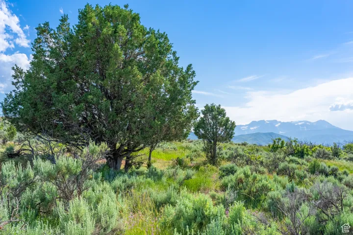 13 S Skyline View Dr, Heber City, Utah 84032