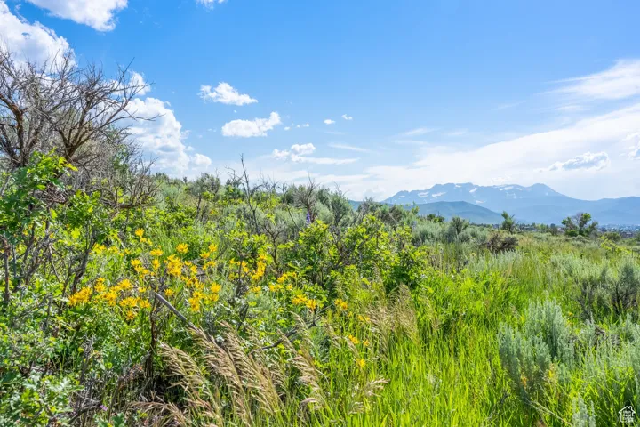 13 S Skyline View Dr, Heber City, Utah 84032