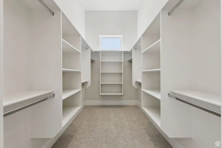 Spacious closet featuring light carpet
