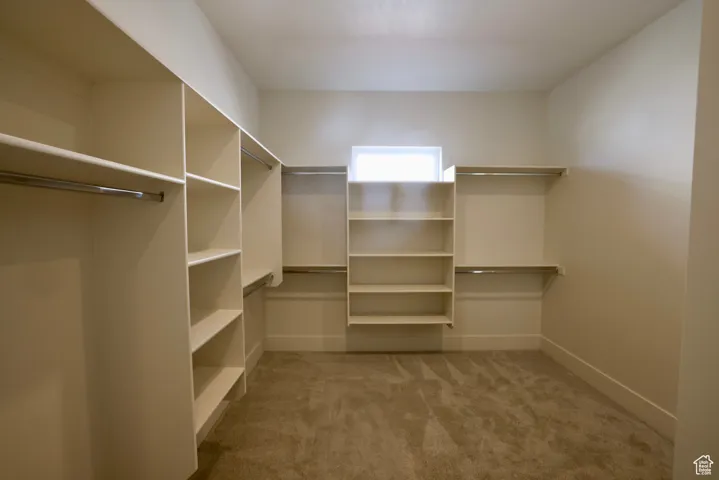 HER Walk in closet with carpet flooring