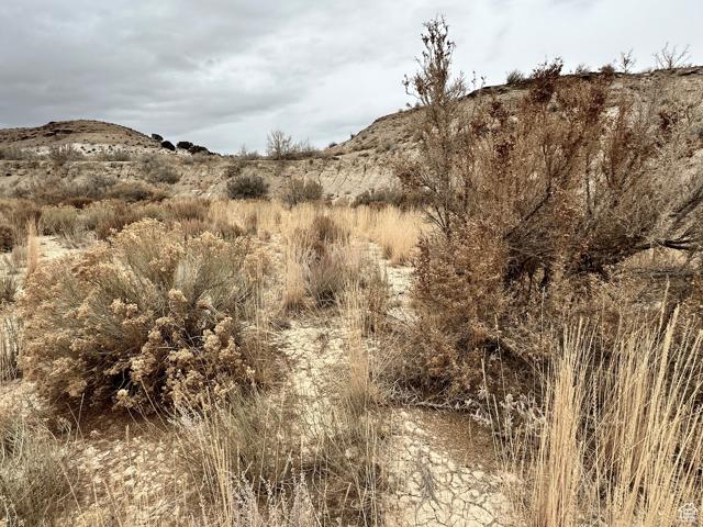 Unit 12, Bridgeland, Utah 84021