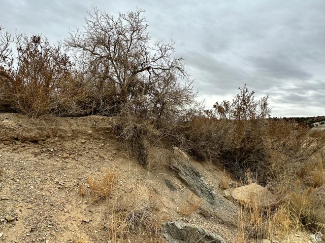 Unit 12, Bridgeland, Utah 84021