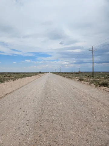 Gravel road extending into the distance, flanked by undeveloped land and utility poles