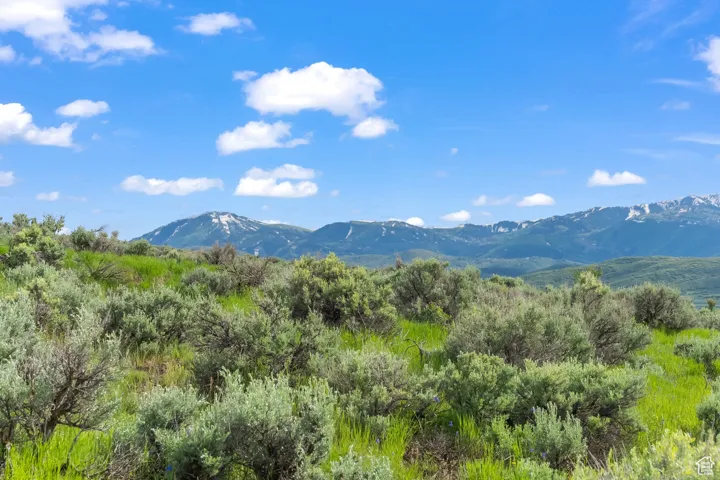 6909 WILLOW POND LN #40, Park City, Utah 84098