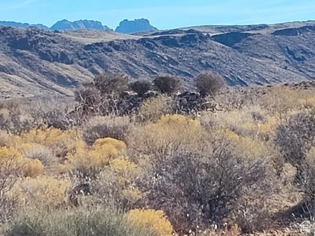 , Virgin, Utah 84779