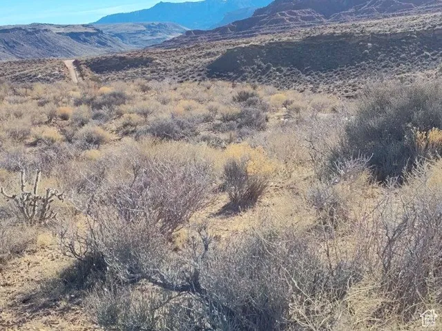, Virgin, Utah 84779