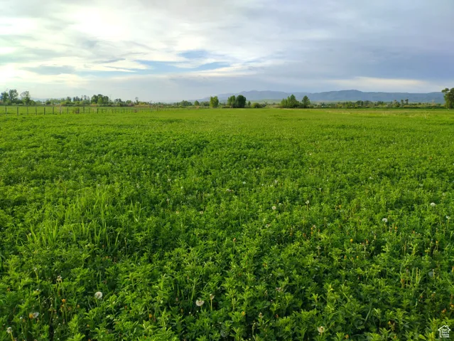 302 4th, Dingle, Idaho 83233